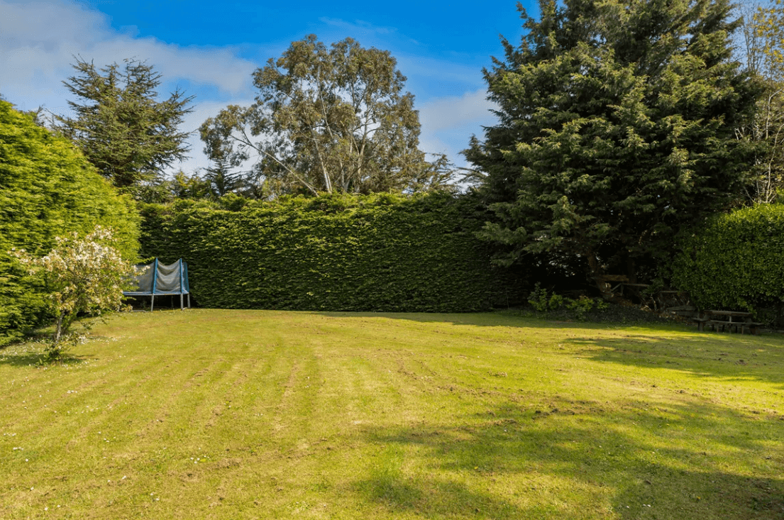 Balfour Ferndale Road Rathmichael - Rear Garden lawn